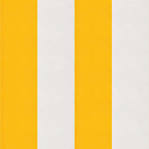 AC419 - Jaune / Blanc
